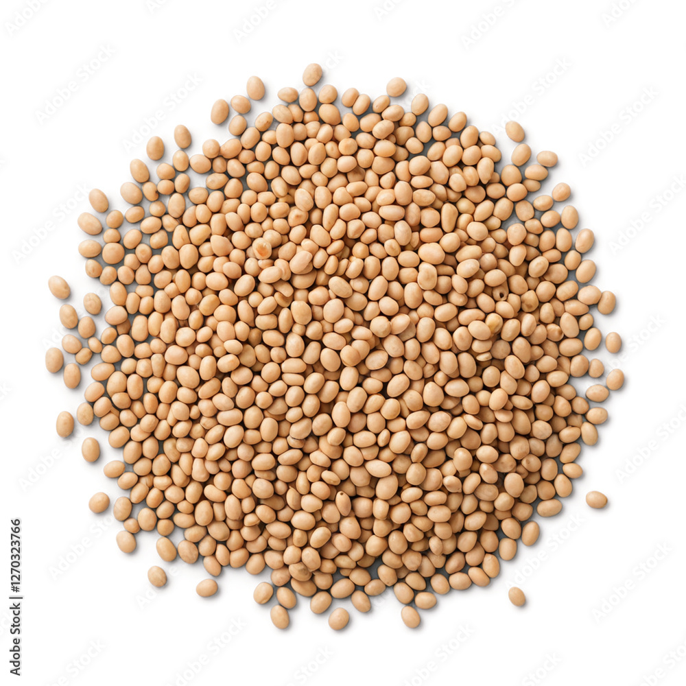 beans isolated on white background beans isolated on white background