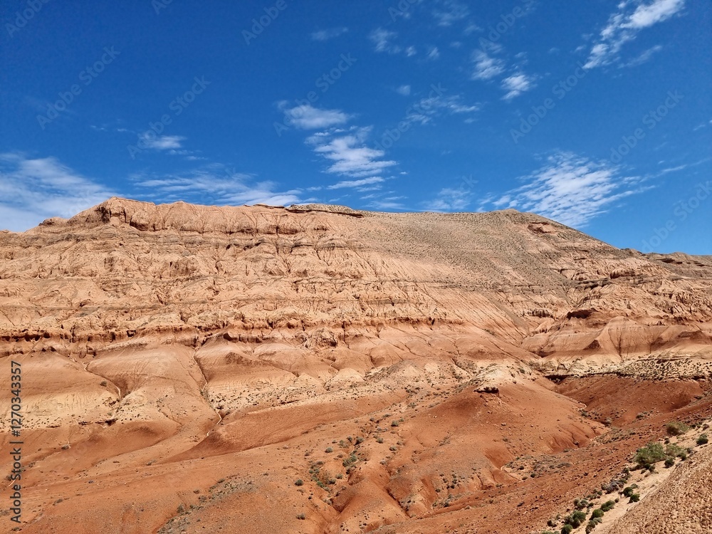 Fototapeta premium beautiful landscape in the desert 