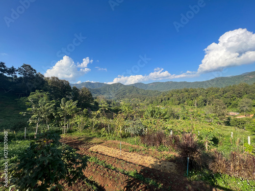 Scenery around Elefin farm around Chiang mai
