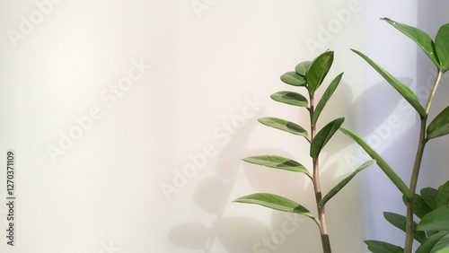 Green leaf with copy space