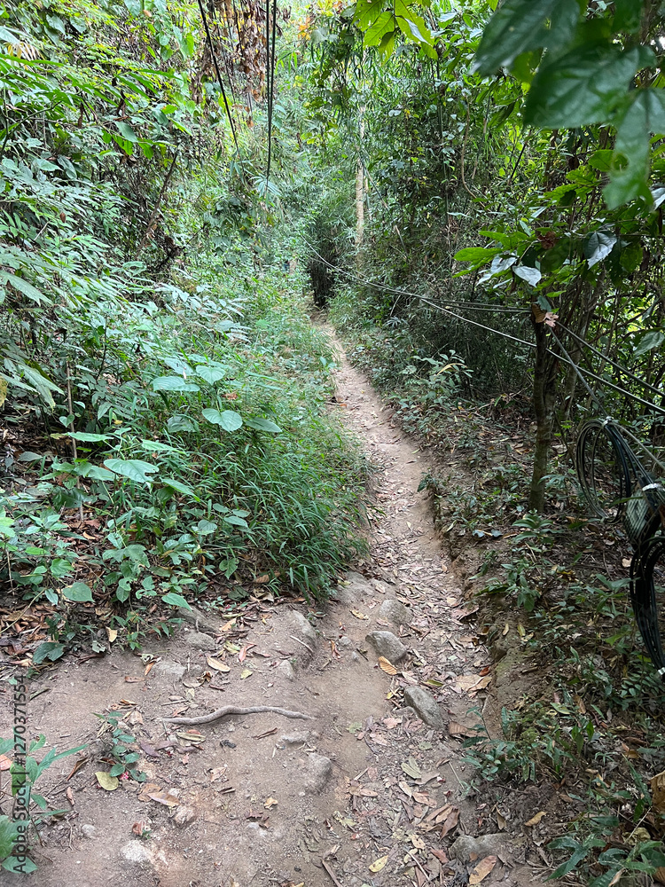 Hiking path towards Wat Phra That Doi Suthep