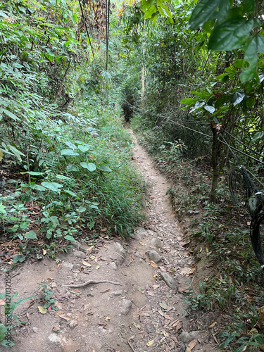 Obraz na płótnie Hiking path towards Wat Phra That Doi Suthep w salonie