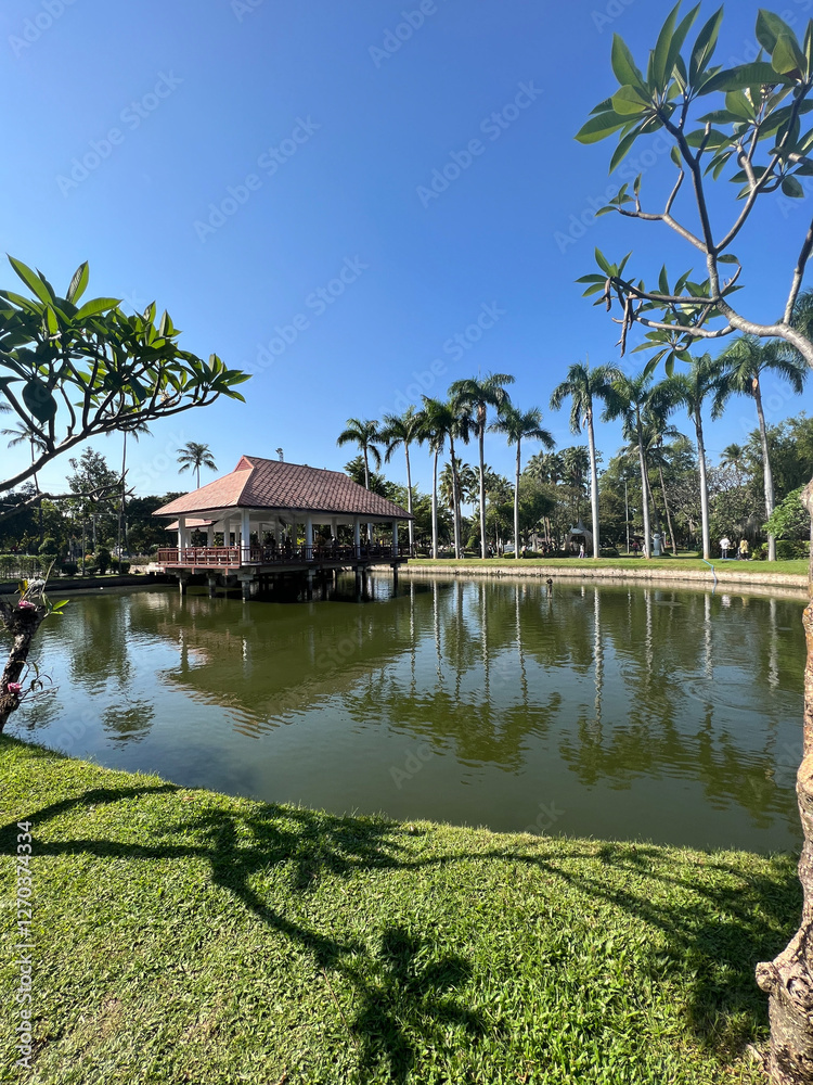 Pond at Buak Hard Public Park in Chiang Mai