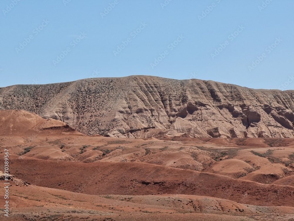 Fototapeta premium beautiful landscape in the desert 