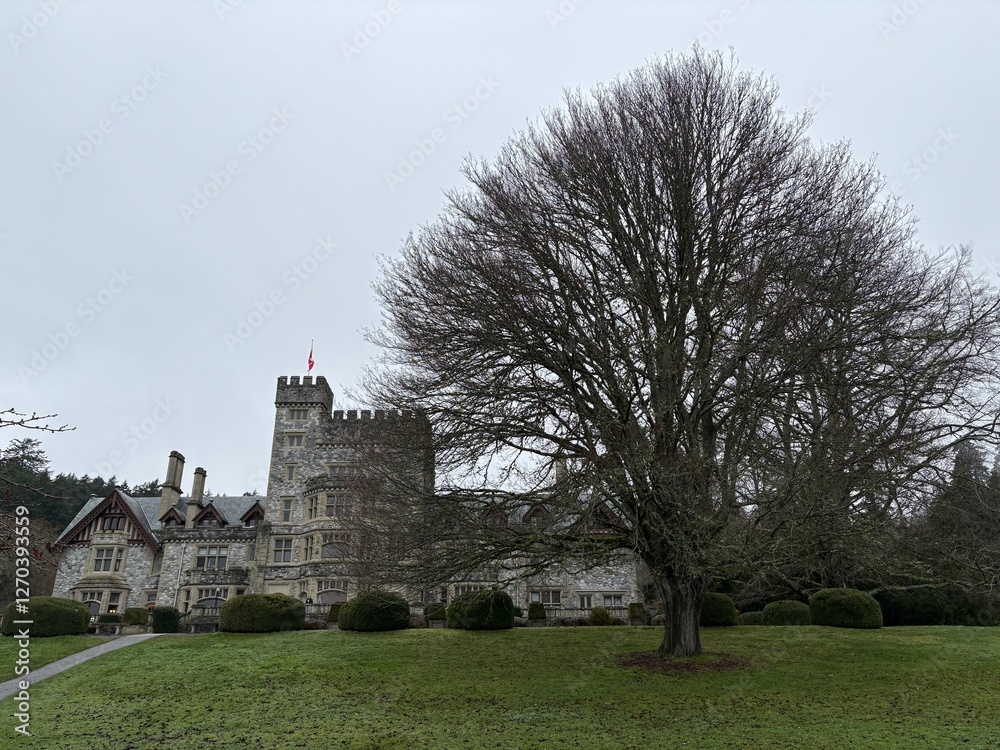 Obraz premium castle in the park