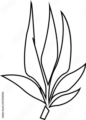 Bamboo, sugarcane vector icon , in glyph style designs elements, sweeteners for drinks. leaves, sugar ingredient stem. Design elements for social network and application. on transparent background.
