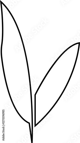 Bamboo, sugarcane vector icon , in glyph style designs elements, sweeteners for drinks. leaves, sugar ingredient stem. Design elements for social network and application. on transparent background.