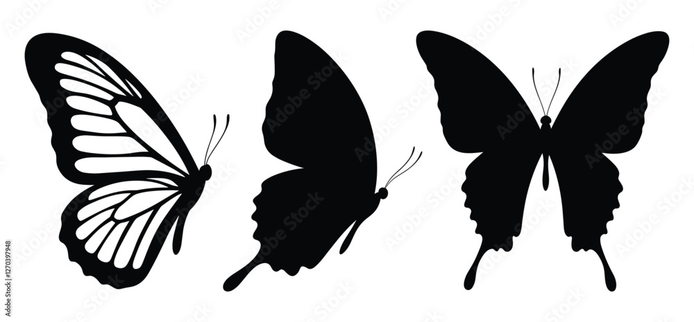 Fototapeta premium A Butterfly Vector and silhouette illustration with white background