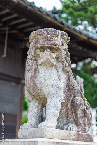 神社の狛犬