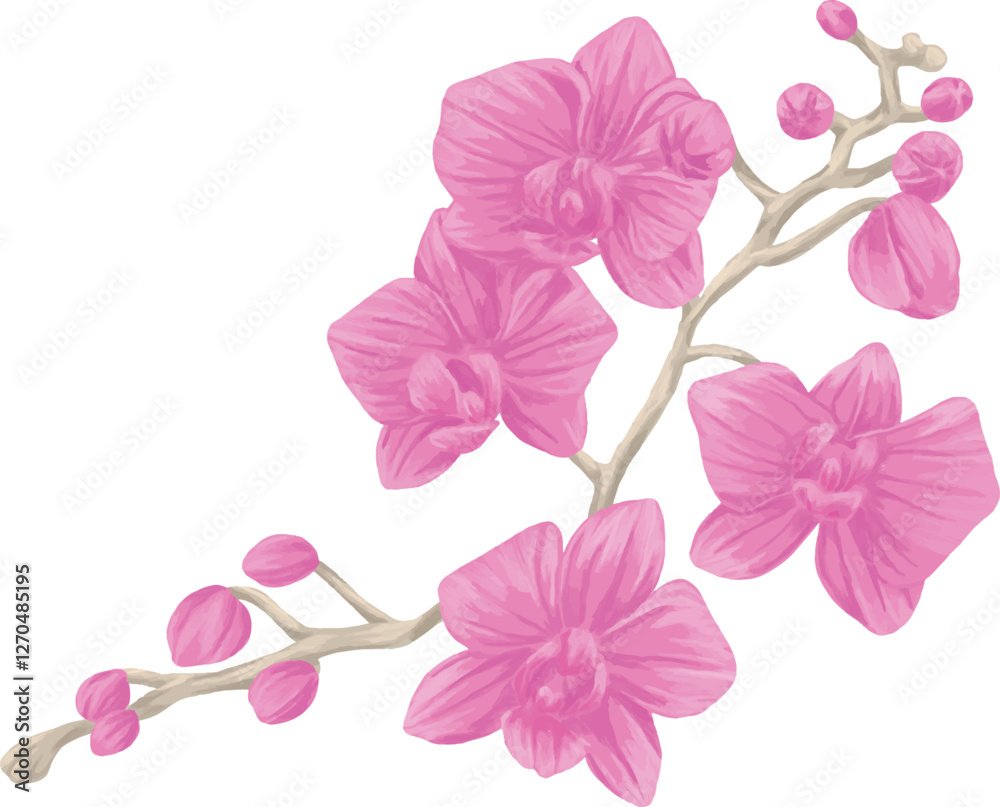 Obraz premium orchid Branch painting botanical illustration