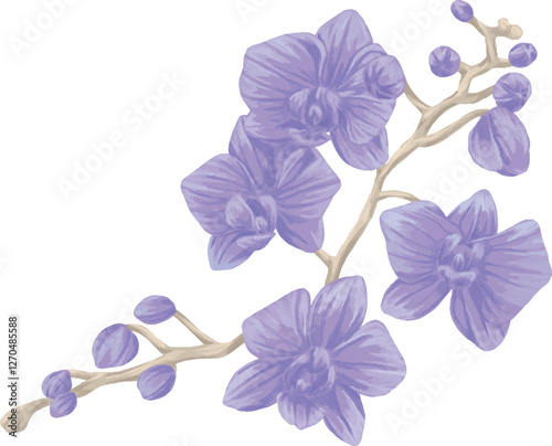 orchid Branch painting botanical illustration