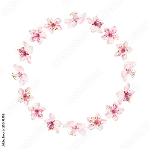 Wreath of sakura flowers isolated on a white background. Spring blooming cherry blossom flowers for Hanami festival. Delicate shades of pink, lilac, violet petals. Watercolor template for card, poster