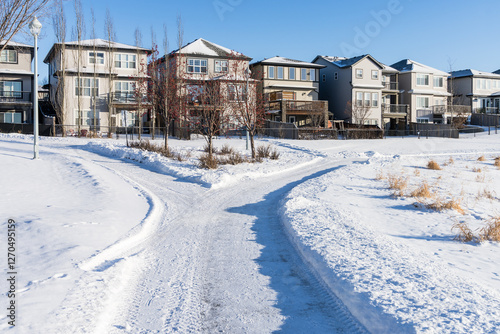 Intersection of pedestian path in North America single houses neighborhood photo