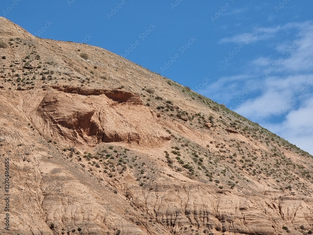 desert landscape in the spring desert landscape in the spring