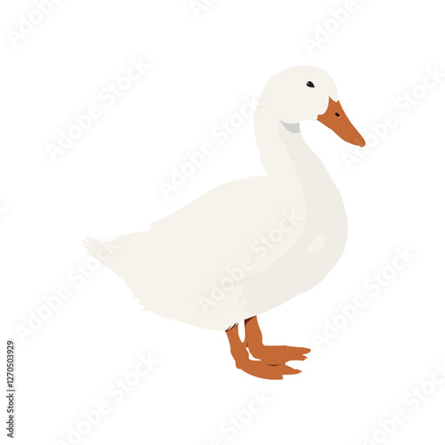 white duck vector illustration