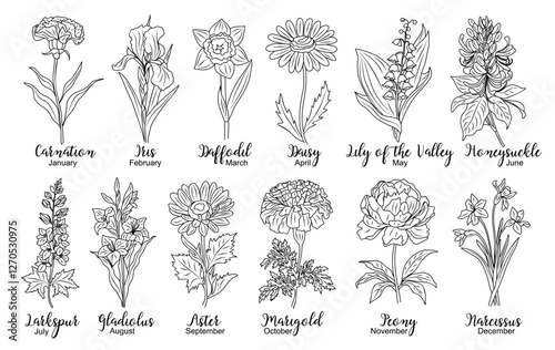 Set of flower line art vector. Carnation, daffodil, larkspur, lily of the valley, iris, gladiolus, aster, marigold hand drawn black ink drawings. Birth month flowers for jewelry, tattoo, logo design.