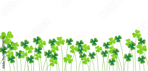 Green clover and gold coins background for St. Patrick's Day. Ornament of clover leaves and gold coins that bring good luck and happiness. Transparent background.