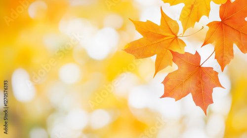 Autumn's Embrace: A close-u...