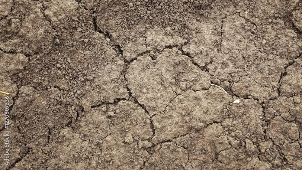 Very dry ground with large cracks. The concept of climate change, drought, lack of moisture in the soil. Desertification of land, erosion of the land. Consequences of global warming. Crop failure. Very dry ground with large cracks. The concept of climate change, drought, lack of moisture in the soil. Desertification of land, erosion of the land. Consequences of global warming. Crop failure.