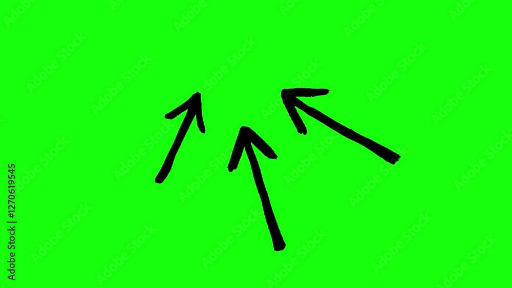 Collection of Black Arrows in Different Styles and Shapes. Different shape arrow icon set. Collection of curve line arrows animation. curve arrow. black and white arrow.Green Screen Collection of Black Arrows in Different Styles and Shapes. Different shape arrow icon set. Collection of curve line arrows animation. curve arrow. black and white arrow.Green Screen