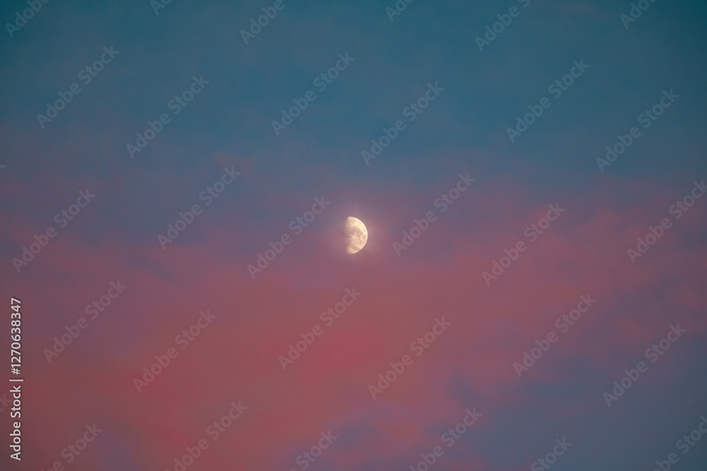 Half Moon in a Colorful Twilight Sky with Soft Clouds Half Moon in a Colorful Twilight Sky with Soft Clouds
