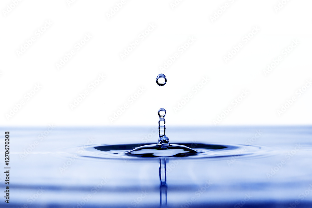 A drop of water falls into the water on a transparent background A drop of water falls into the water on a transparent background