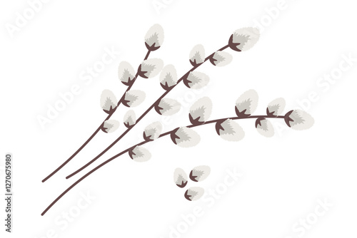 Willow branches isolated on white background. Vector