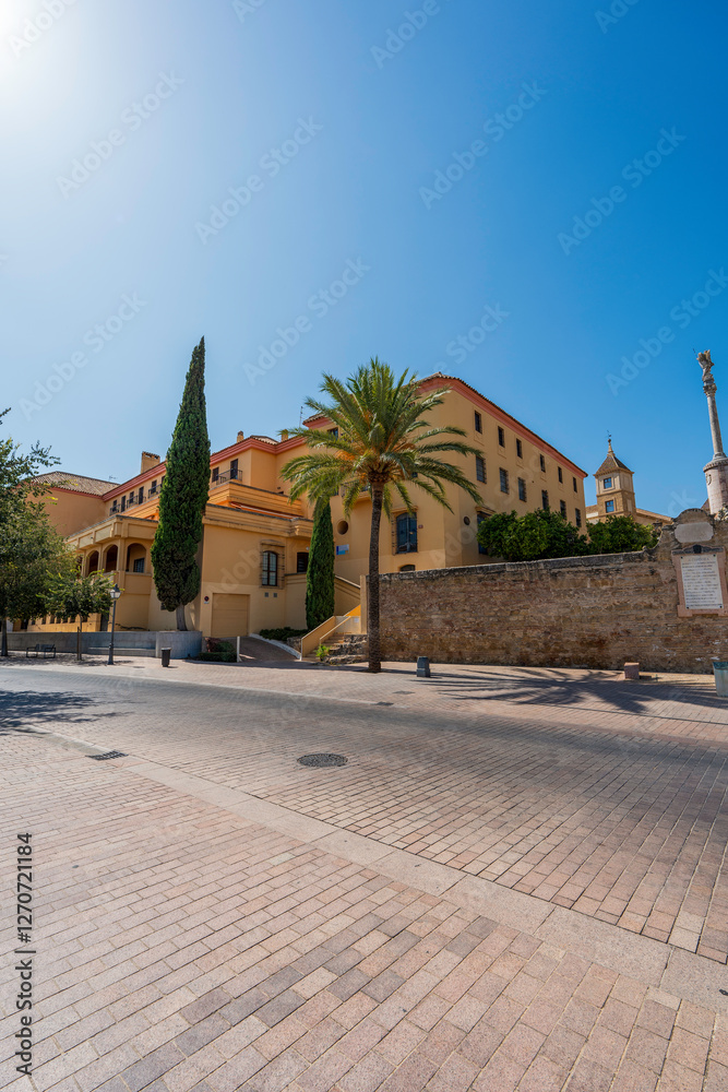 Sun-Drenched Spanish Estate & Towering Palm in Cordoba’s Historic Center: Tall Cypress Silhouettes and Timeless Stone Walls & Andalusian Skies Sun-Drenched Spanish Estate & Towering Palm in Cordoba’s Historic Center: Tall Cypress Silhouettes and Timeless Stone Walls & Andalusian Skies