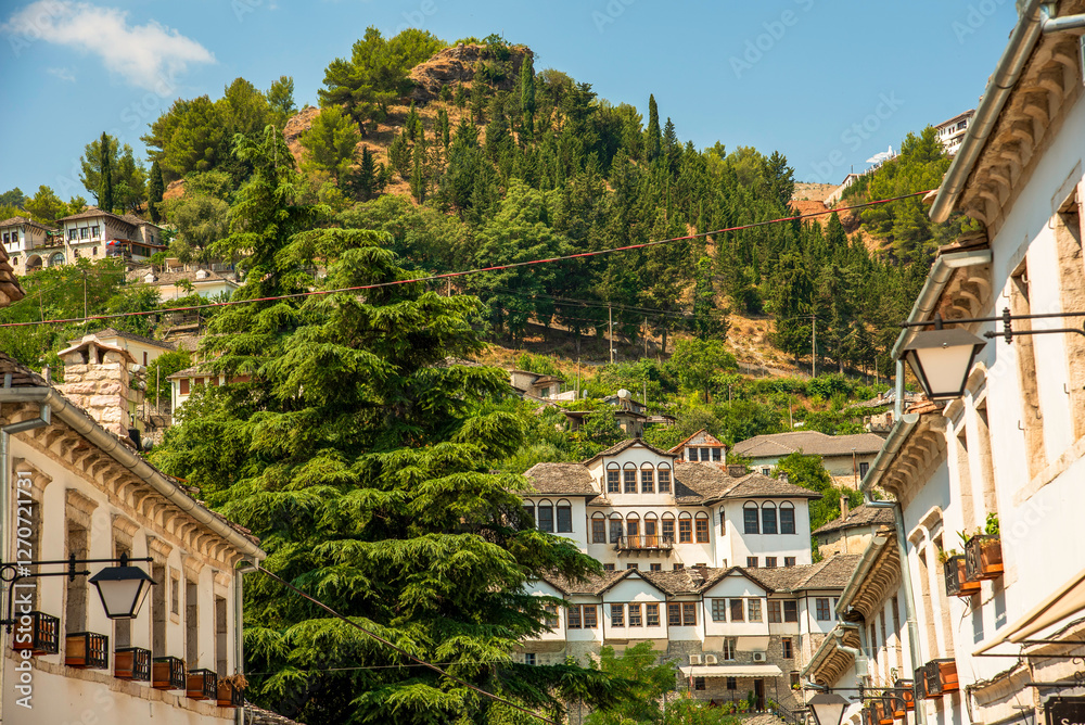Fototapeta premium Towering Cedars and Ottoman-Era Houses in Gjirokaster, Albania: Europe’s Iconic Stone City Overlooking Verdant Hillsides and Historic Skylines