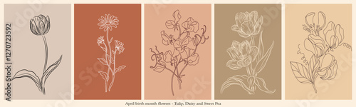 Set of botanical line art drawings of April birth month flowers, tulip, daisy and sweet pea. Vector sketch isolated on terracotta colors backgrounds. Card, poster template. Logo, tattoo design.