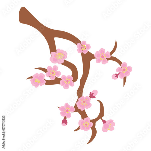 Illustration of a blossoming Sakura branch. White background, isolate
