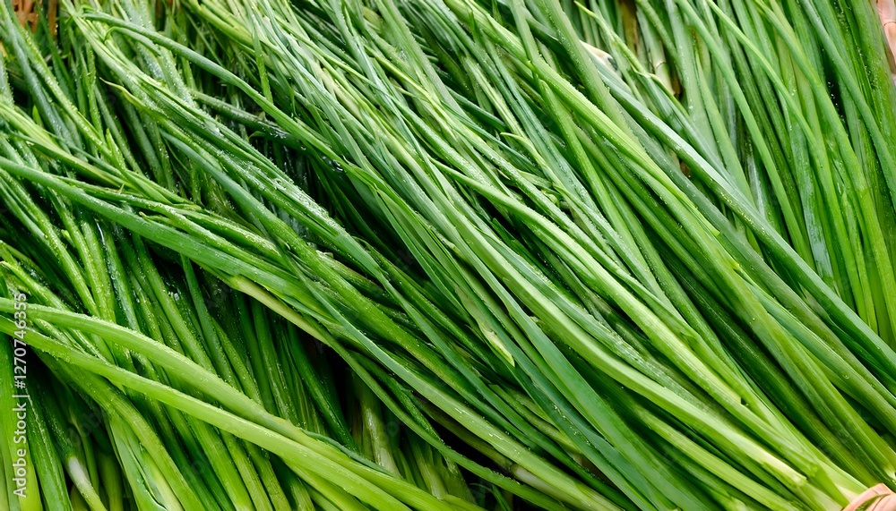 Close-up of fresh chives, emphasizing their thin, delicate stems and vibrant green color. Ideal for healthy food, salads, or vegetable concepts. Texture, background. Close-up of fresh chives, emphasizing their thin, delicate stems and vibrant green color. Ideal for healthy food, salads, or vegetable concepts. Texture, background.