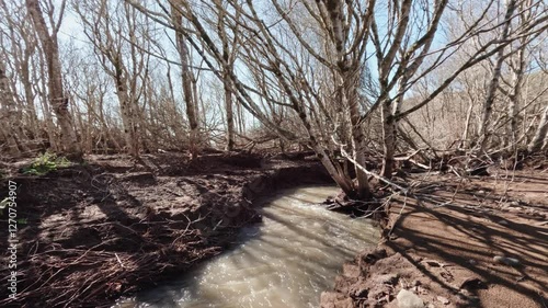 Scenic footage of a small running river lined with leafless trees in the woods on a sunny day