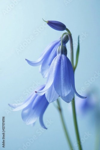 Delicate Blue Bell Flowers on a Soft Background, a Close-Up Study of Nature's Elegance