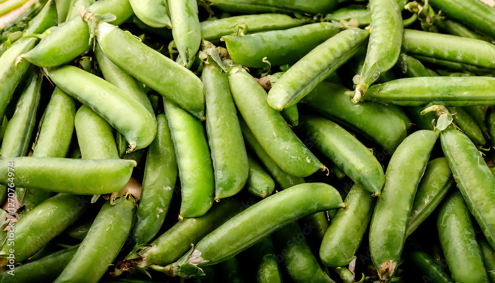 Detailed view of fresh pea pods, emphasizing their smooth texture and bright green color. Perfect for healthy food, salads, or vegetable concepts. Texture, background. Detailed view of fresh pea pods, emphasizing their smooth texture and bright green color. Perfect for healthy food, salads, or vegetable concepts. Texture, background.