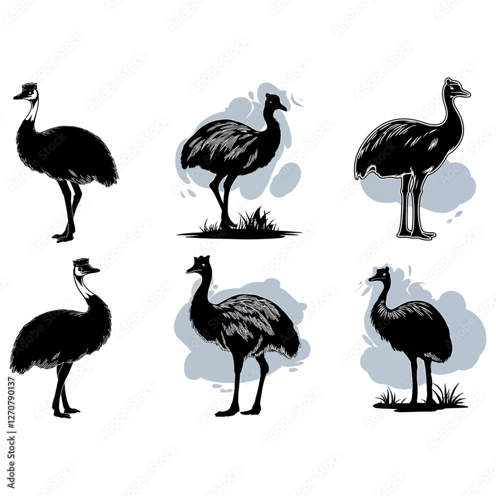 Obraz premium Emu Silhouettes Illustrations