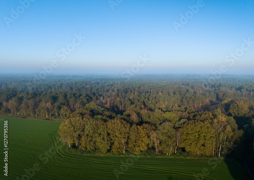 Aerial view of Leenderbos nature reserve in autumn, the Netherlands photo