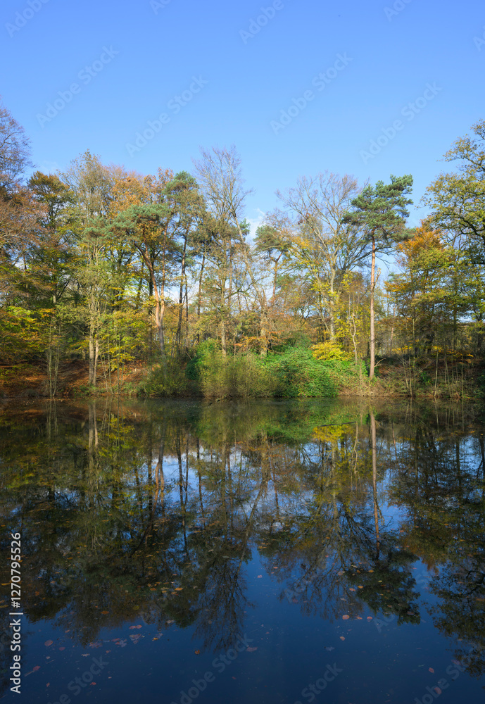 Scenic view of Springendal nature reserve in autumn with reflections on a lake in the Netherlands Scenic view of Springendal nature reserve in autumn with reflections on a lake in the Netherlands