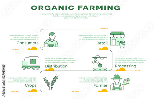 Vector illustration for organic farming process. Minimalist green-themed infographic with farmer, crops, processing, distribution, retail, and consumers.