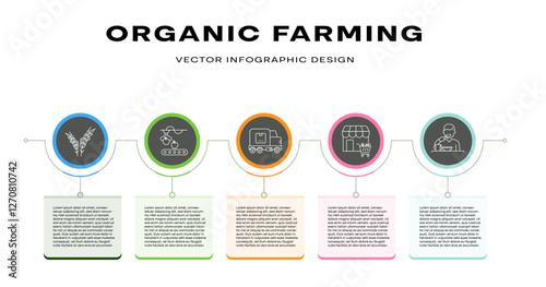 Organic farming and food system infographic. Minimalist vector showcasing farming stages from crops to table with editable stroke.