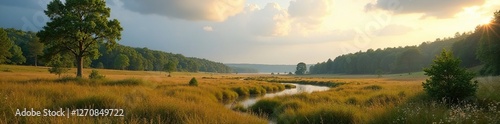 Wetterged?mpfte Felsen mit kahlen B?umen und gr?nen Moorbl?ttern, niederlande, nordduinen photo