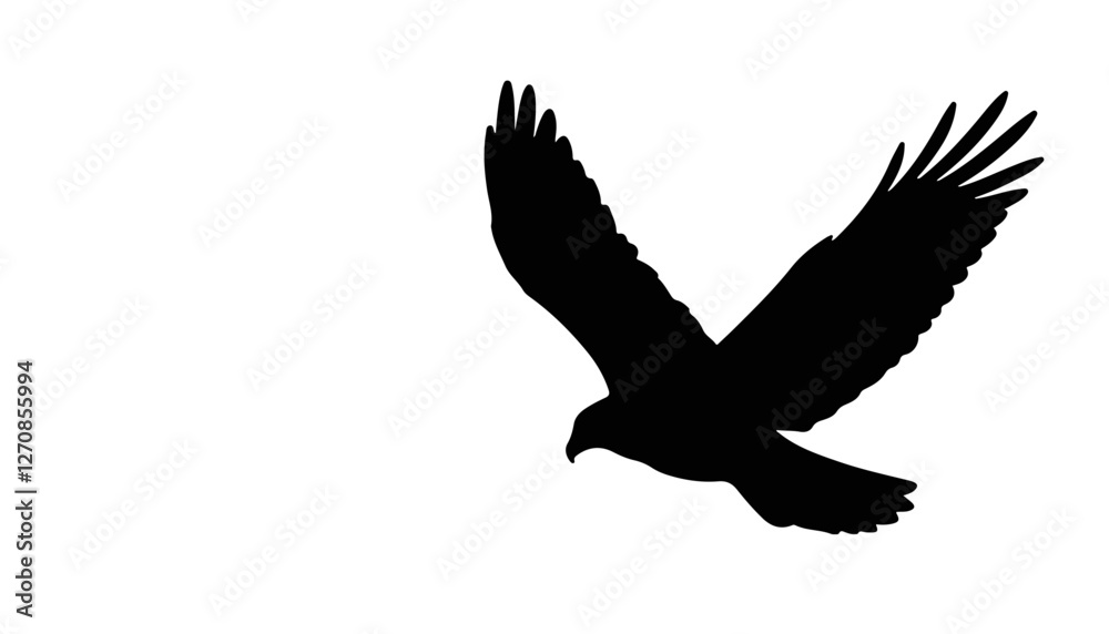 Obraz premium Silhouette of a flying hawk against a white background