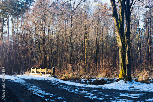 Stary most w lesie na kamienistej drodze zimową porą oświetlony promieniami słońca photo