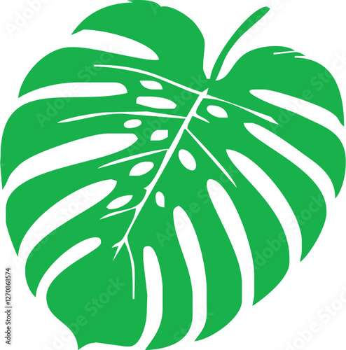 monstera vector leaf icon, tropical leaf on white background