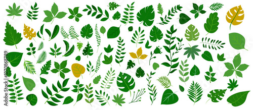 Big vector leaves collection - Set or bundle of leaf objects in various design graphics elements with green beautiful bright autumn colours on simple white background