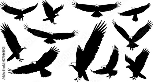 Eagle Vector Illustration Set, Black and White Silhouettes. Collection of 30 Different Eagle Poses, Perfect for Logos, Designs, and More.