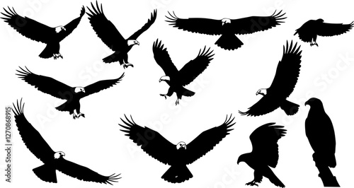 Eagle Vector Illustration Set, Black and White Silhouettes. Collection of 30 Different Eagle Poses, Perfect for Logos, Designs, and More.