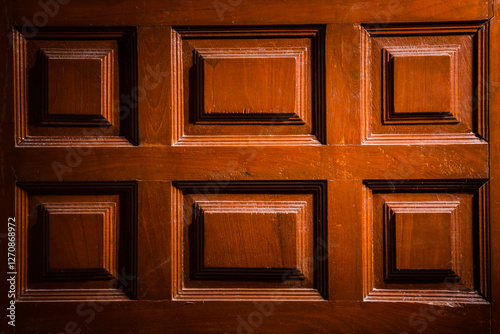 Image of a brown wooden door with a rectangular embossed texture with leaf shadows falling on the door surface.