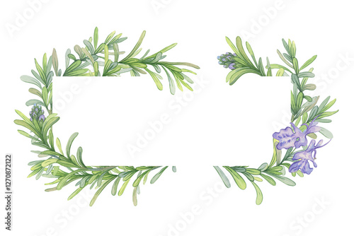 Fotografia Frame of branches of blooming rosemary