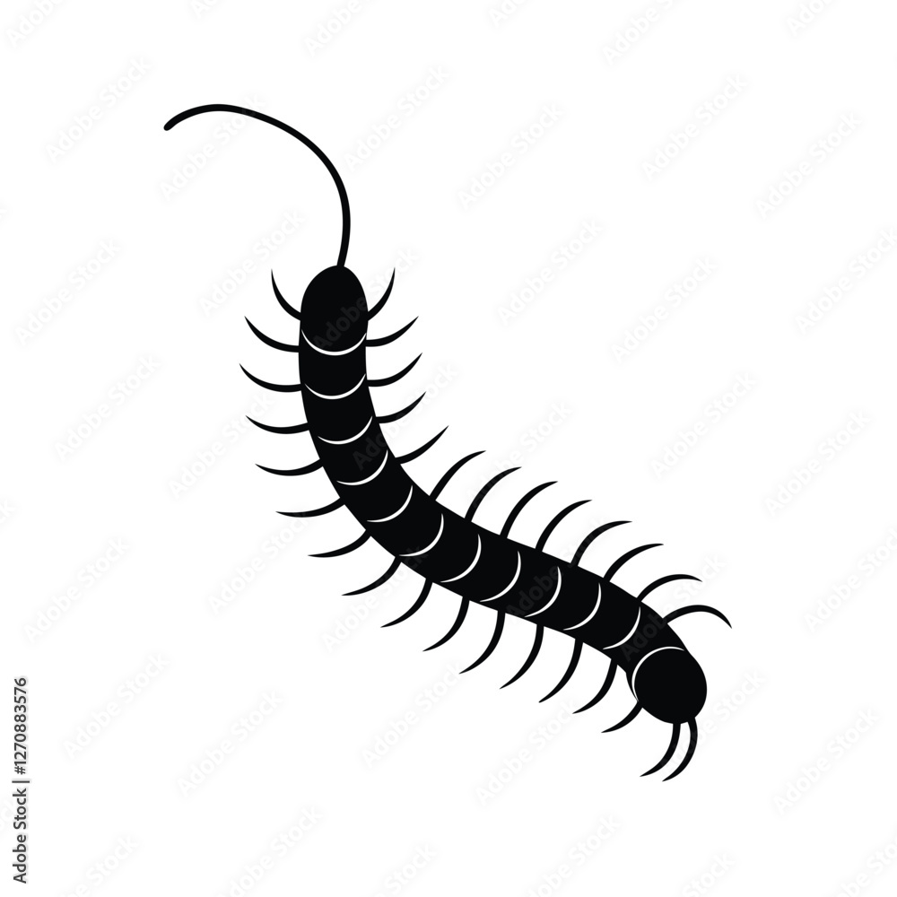 Fototapeta premium caterpillar on white background